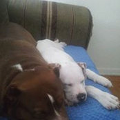 Jennifer Heaps's photo