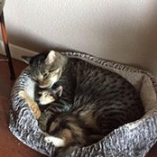 Tammy Allen's photo