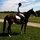 webuser_11043