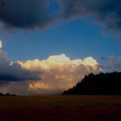 Crispin Holt's photo