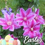Judy Carter's photo