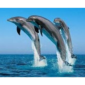 Micheline Morin's photo