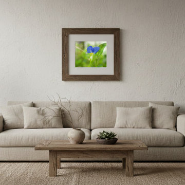 Asiatic Dayflower Wabi-Sabi Style Wall Art Prints