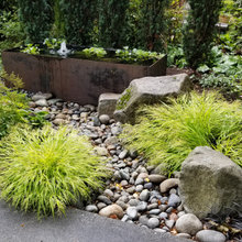 Landscape Ideas
