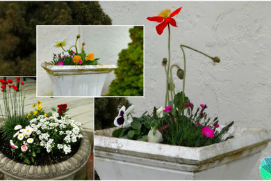 Inspiration for a landscaping in Philadelphia for spring.