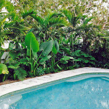 Pinetree Drive House