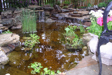 Before and After Water Features