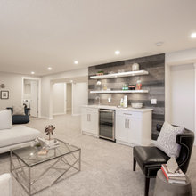 Basement Media Room