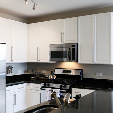 My Houzz: Monochromatic Style in a Chicago High-Rise Condo