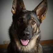 Leanne Boyak Nedeau's photo