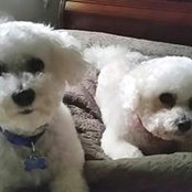 Nan Brennan's photo