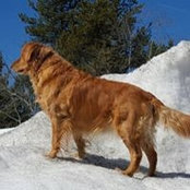 Foto von Nancy Lane