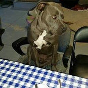 Cindy Long Sweigart's photo