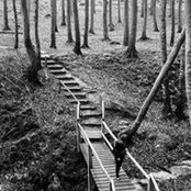 Julia Nicotra's photo