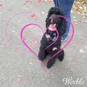 Foto von Amanda Cornett