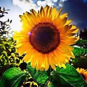 Jessica Killinger's photo