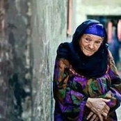 Dina Arafa's photo