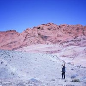 Melanie Wells's photo