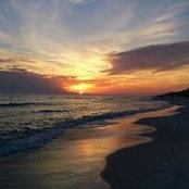 Vonnie Shepherd's photo