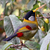 Renata Thompson's photo