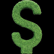 Foto von Outdoor Artificial Greenery