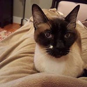 Sondra Bertz's photo