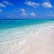 Carla Beatriz's photo