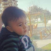 Şehmuz Bekes billede