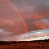 Foto von Lori Deighan