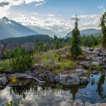 Mountain Top Pond