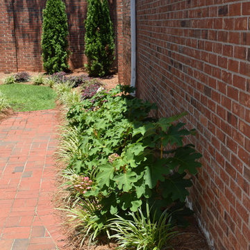 Andrews Landscape