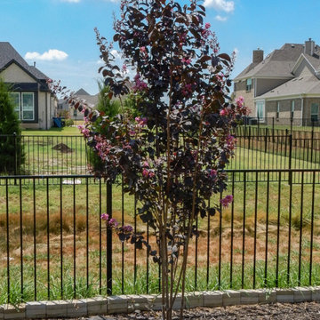Flowering Trees & Shrubs