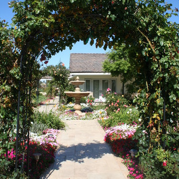 Rolling Hills Rose entry