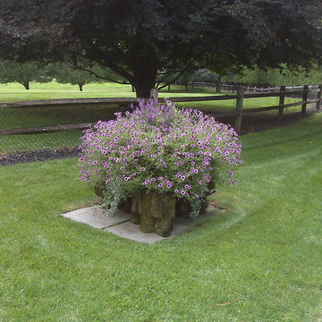 New England Landscaping
