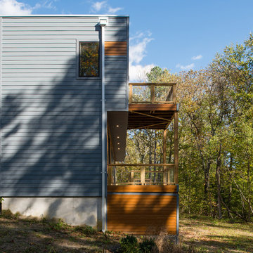 forest house