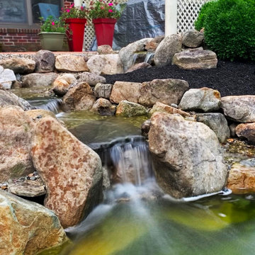 Renovating an Old Pond