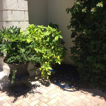 The Sandpointe Project