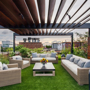 Mid-sized contemporary rooftop full sun garden in Chicago.