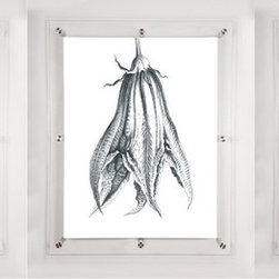 Blossom Wall Art Prints - Prints And Posters