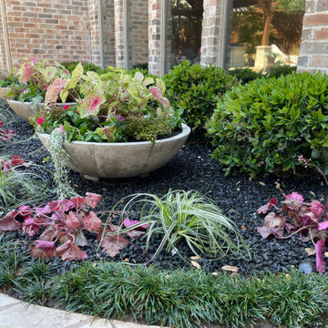 Back yard landscape