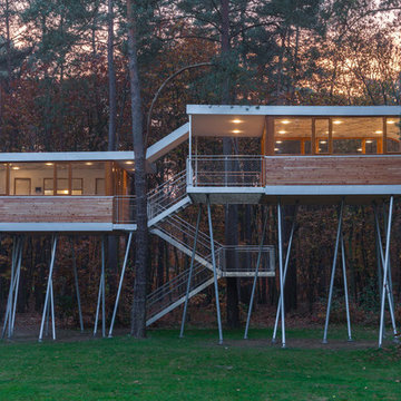the treehouse