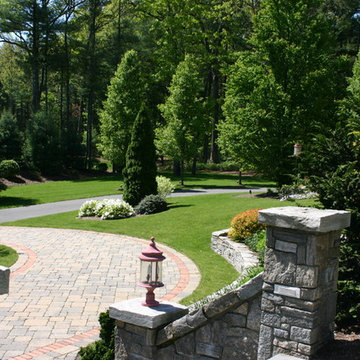 Farmington, Ct. landscape 1