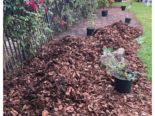 Trying to come up with landscaping ideas for a small fruit tree garden