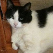 Paula Krems's photo