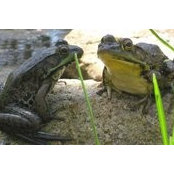 Kristina Schmidt's photo