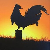 Frances Morris's photo