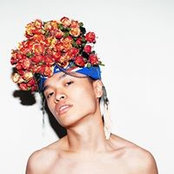 Foto von Misha Chan