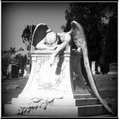 Michele Martin Vunder's photo