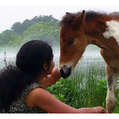 Deepa Sritharanさんの写真