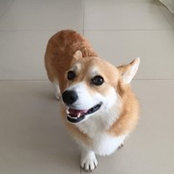 Yichen Chen's photo